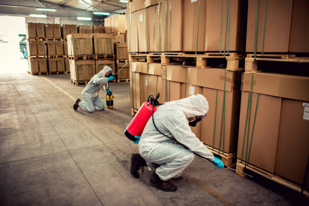 Best Mosquito Control Services  in Manitowoc, WI