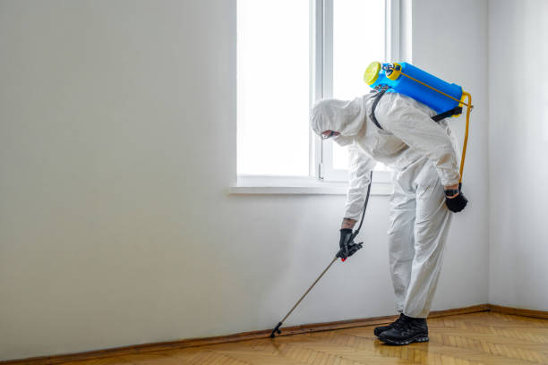 Best Pest Prevention Services  in Manitowoc, WI