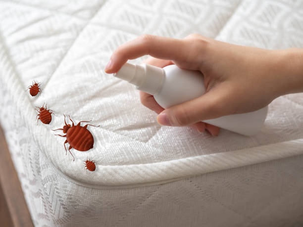 Best Bed Bug Extermination  in Manitowoc, WI
