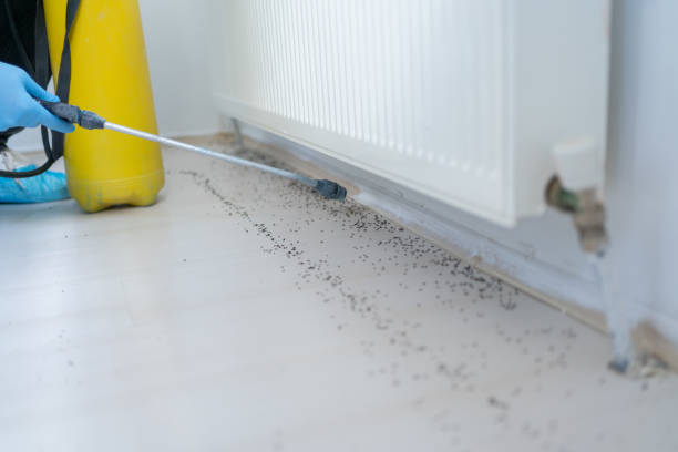 Best Flea Control Services  in Manitowoc, WI