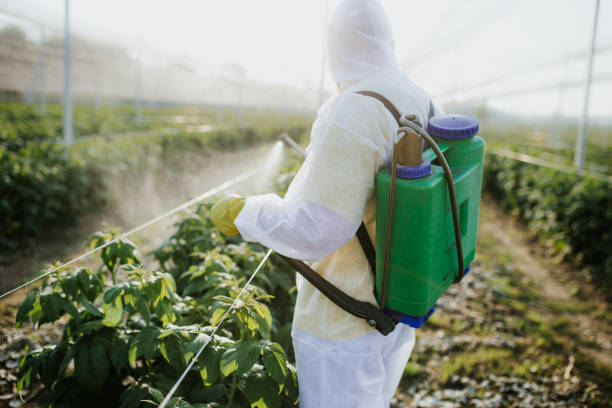 Best Best Pest Control Companies  in Manitowoc, WI